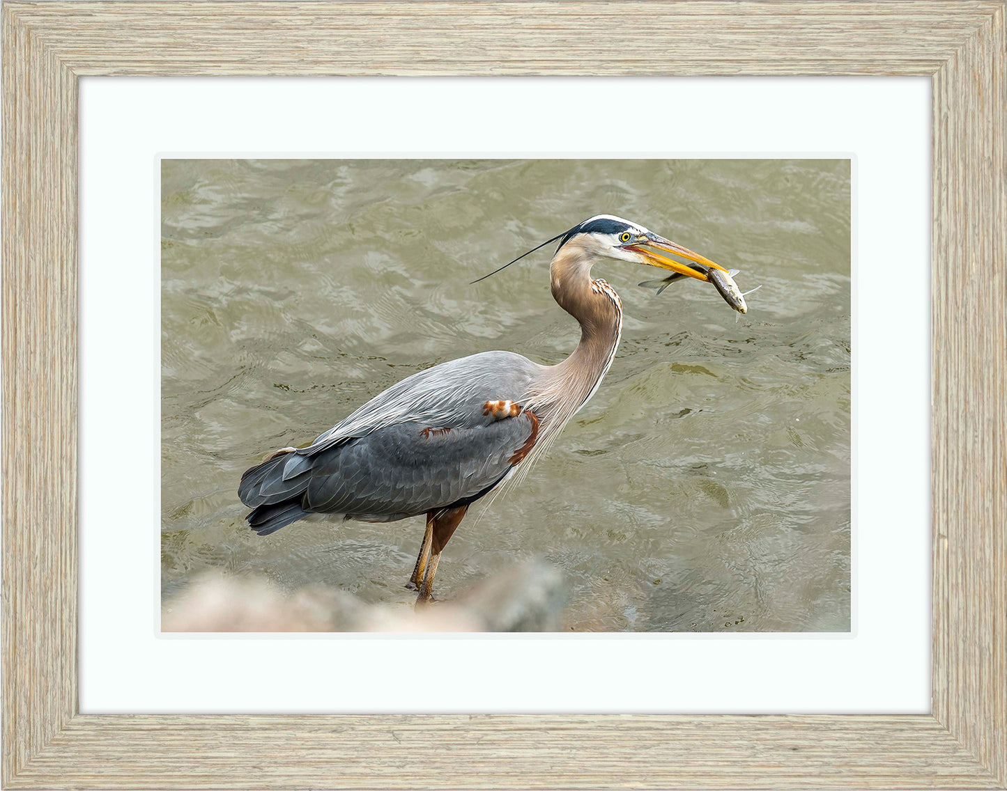 Conowingo Dinner -- Digital Print