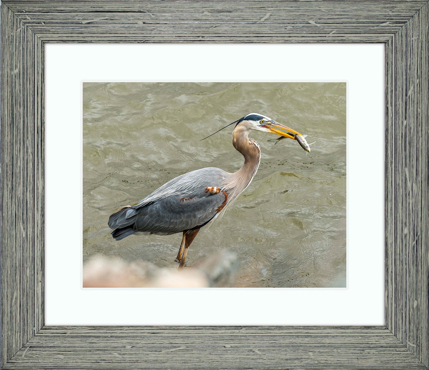 Conowingo Dinner -- Digital Print