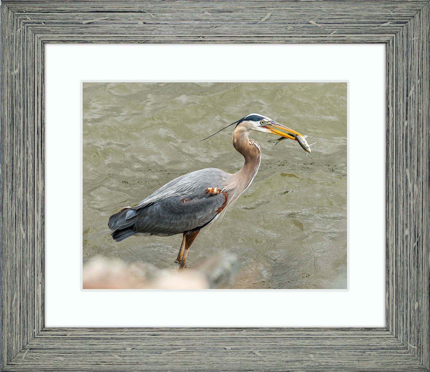Conowingo Dinner -- Digital Print