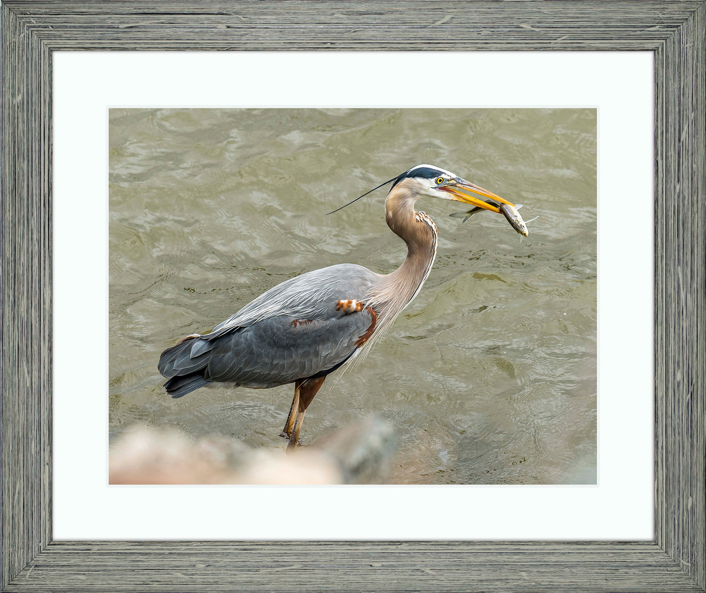 Conowingo Dinner -- Digital Print