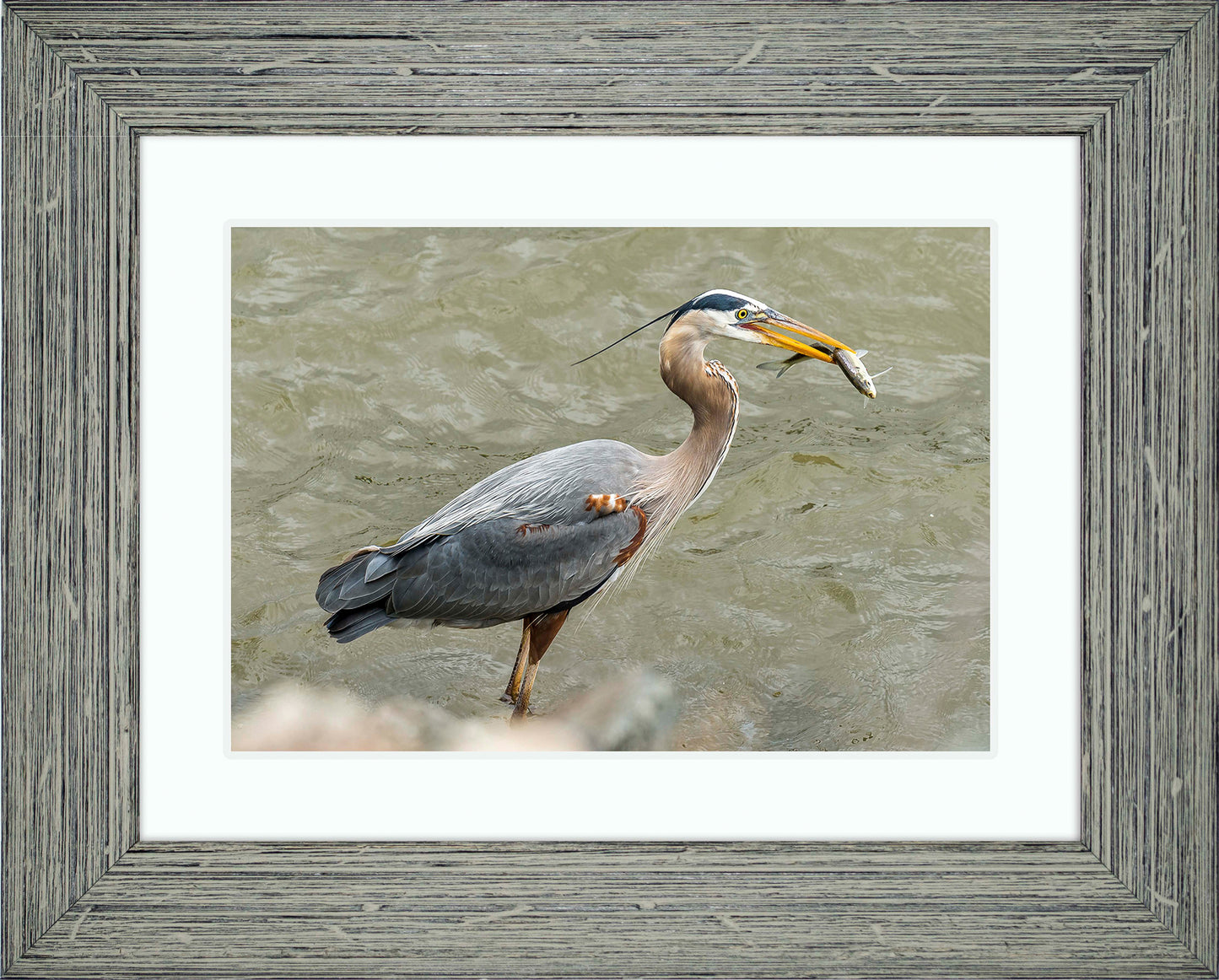 Conowingo Dinner -- Digital Print