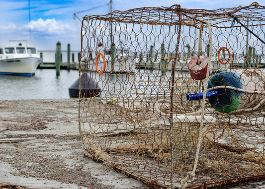 Crab Pot at the Wharf -- Digital Print