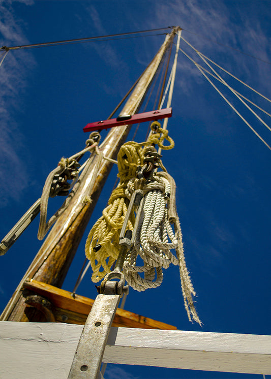 Han Em Harv Mast and Line -- Digital Print