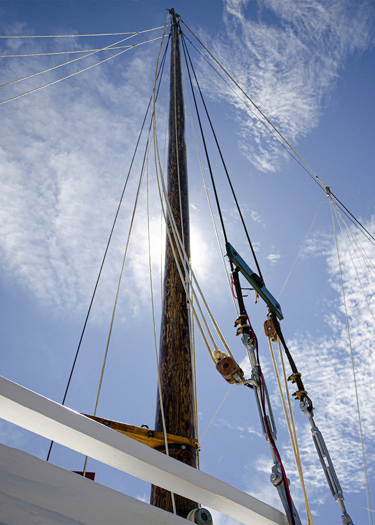 Han Em Harv Sun and Mast -- Digital Print