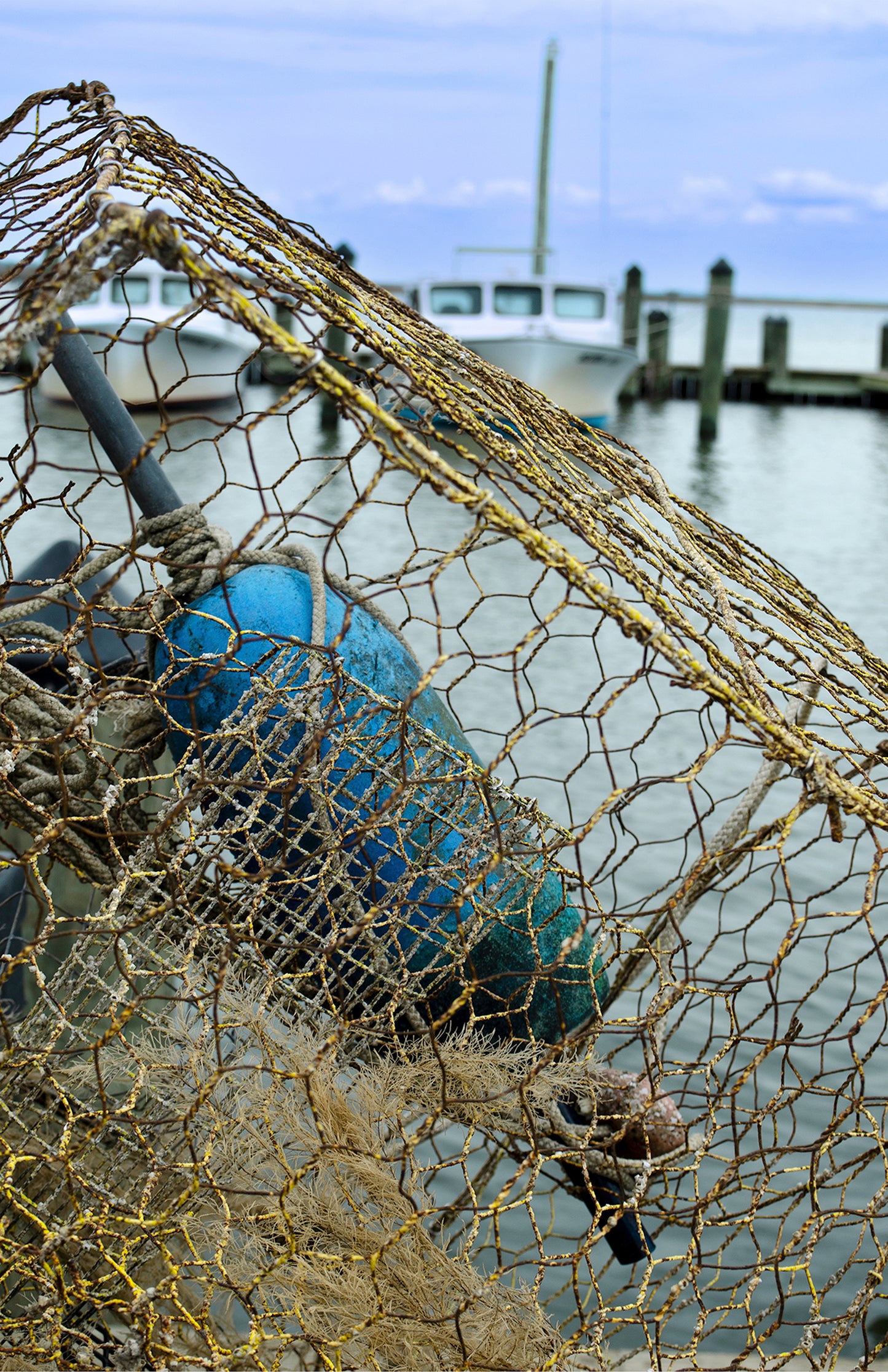 Pot at Wenona -- Digital Print