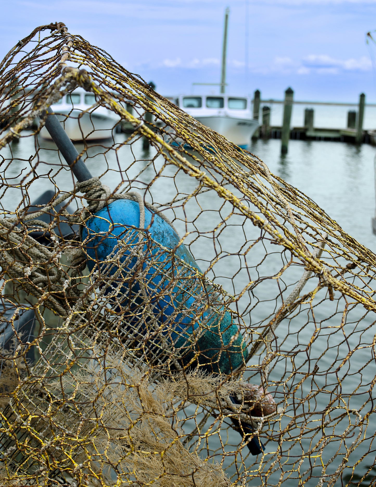 Pot at Wenona -- Digital Print