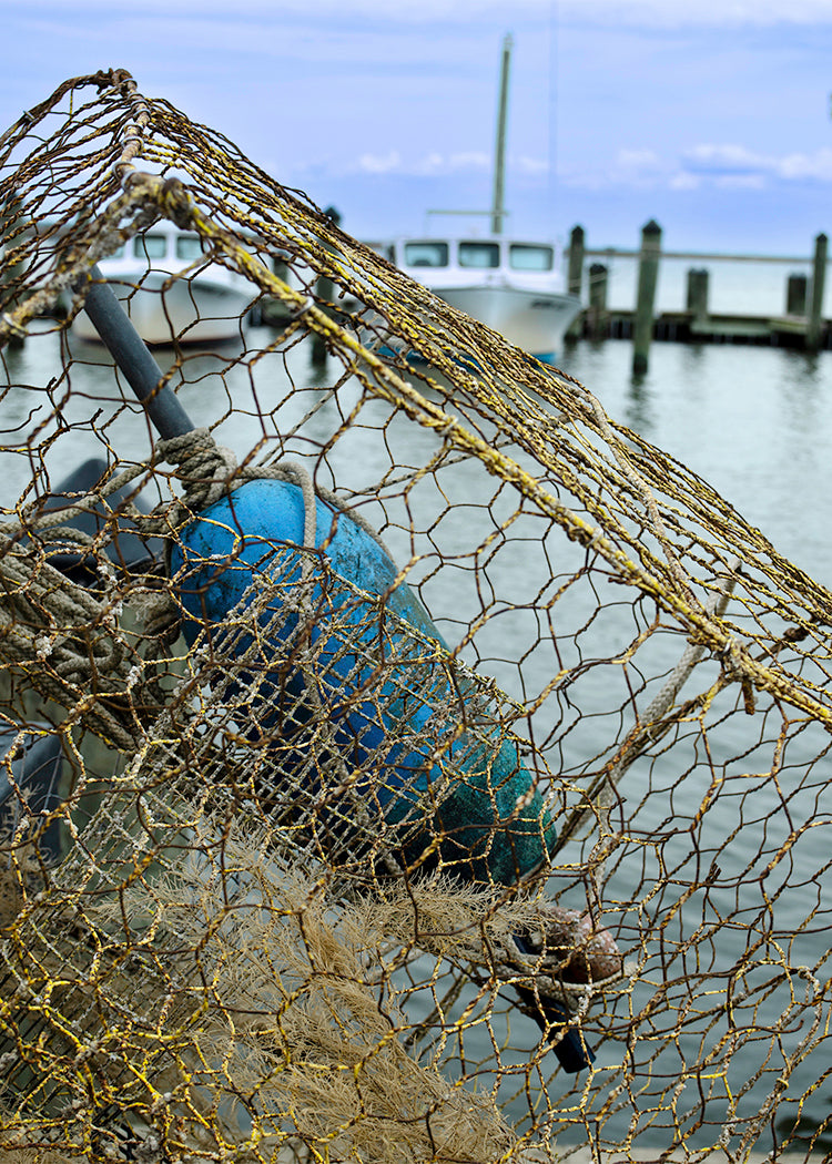 Pot at Wenona -- Digital Print