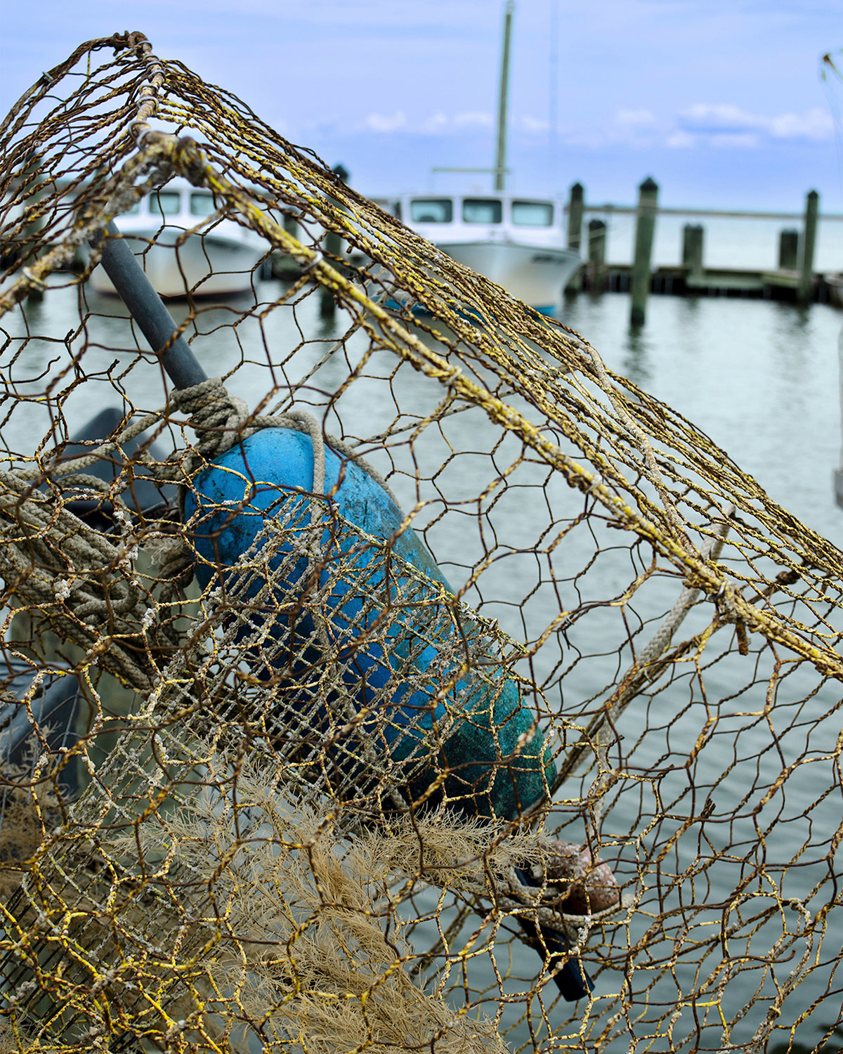 Pot at Wenona -- Digital Print