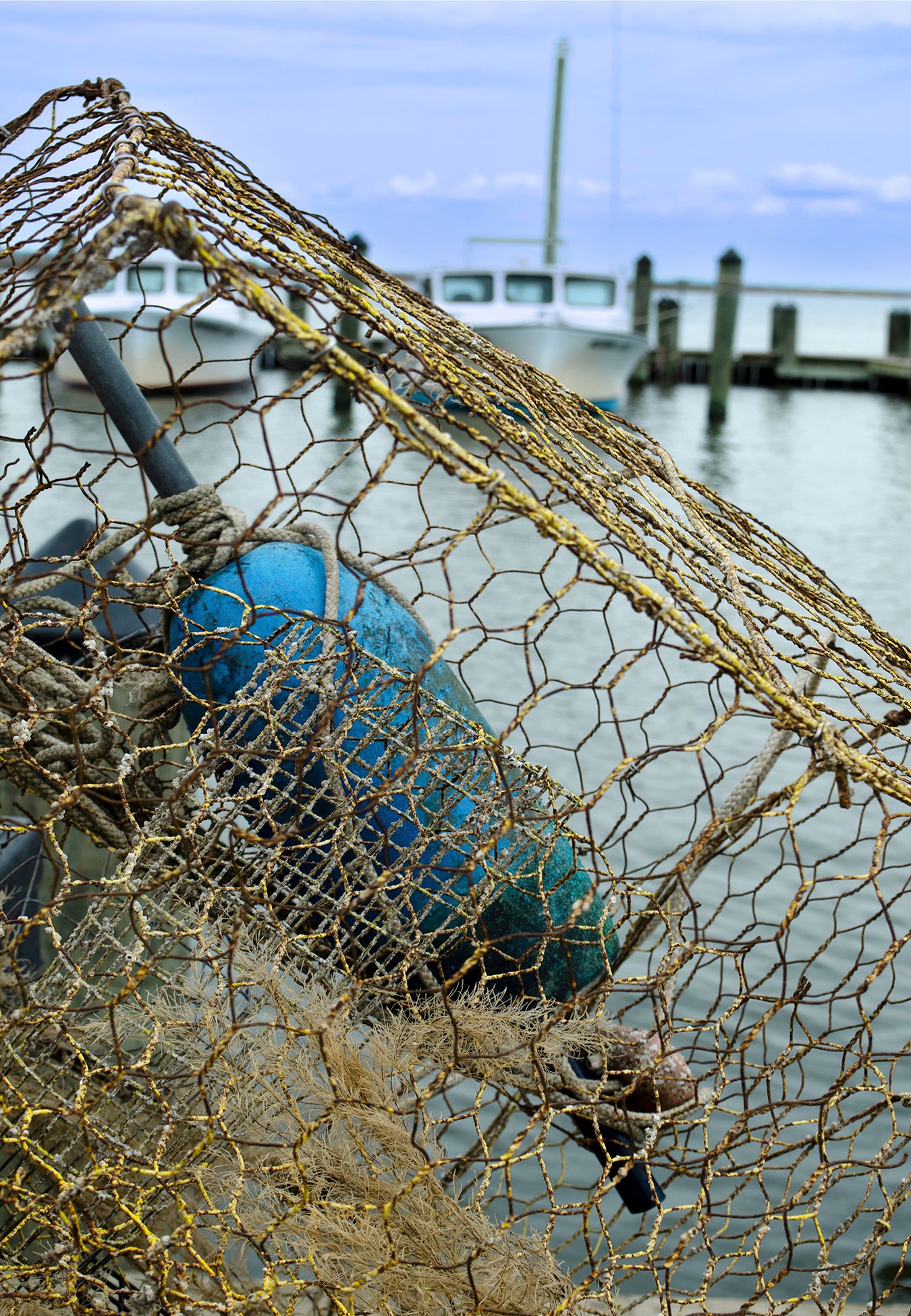 Pot at Wenona -- Digital Print