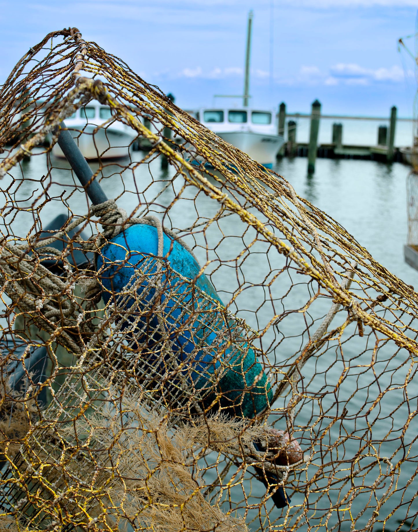 Pot at Wenona -- Digital Print