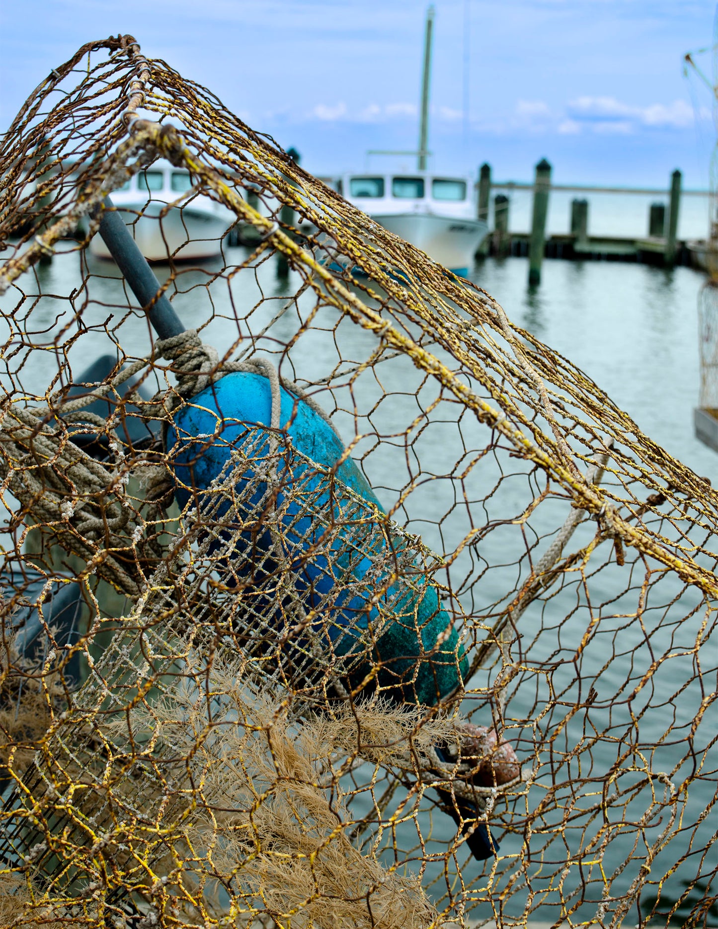 Pot at Wenona -- Digital Print