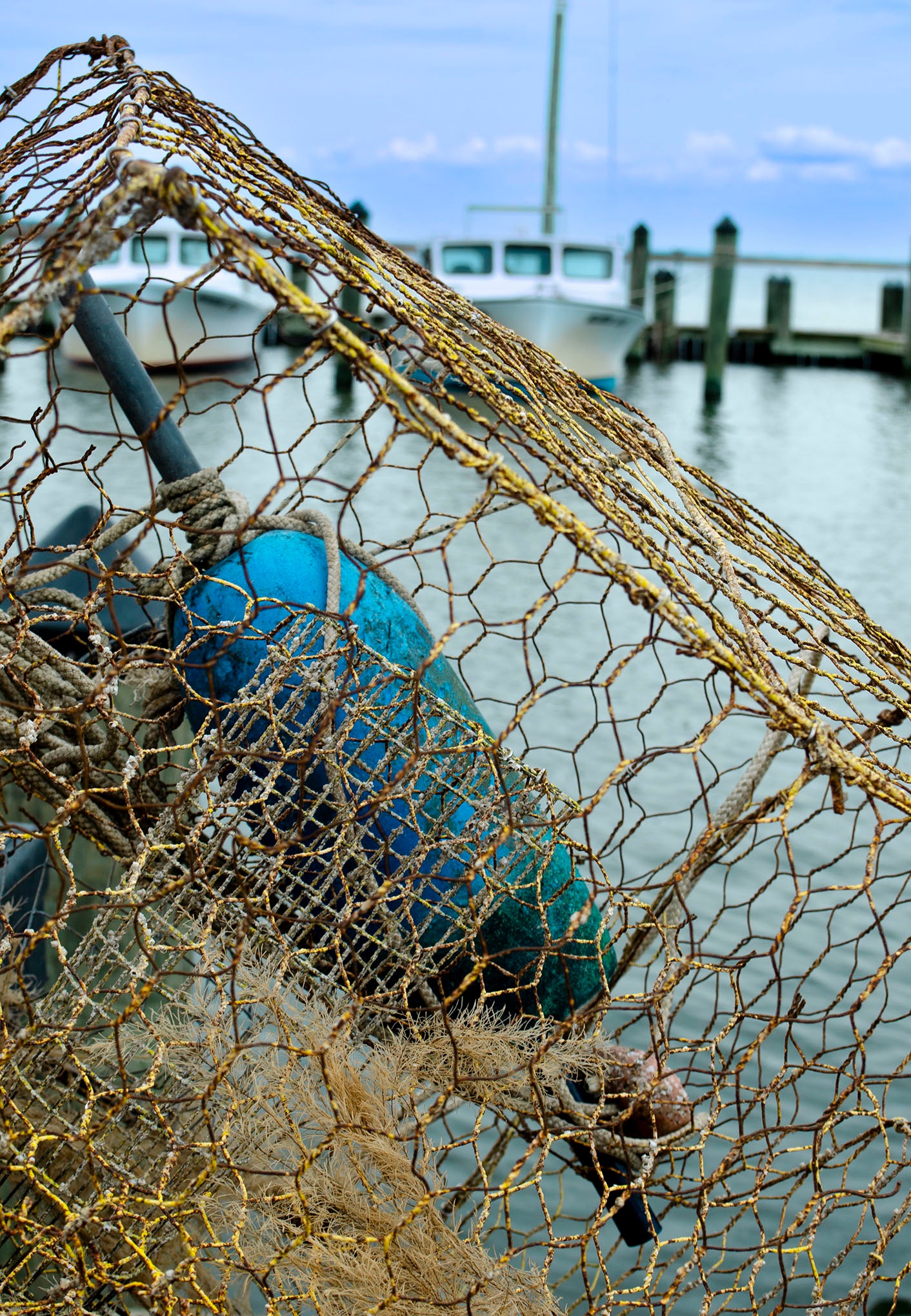 Pot at Wenona -- Digital Print