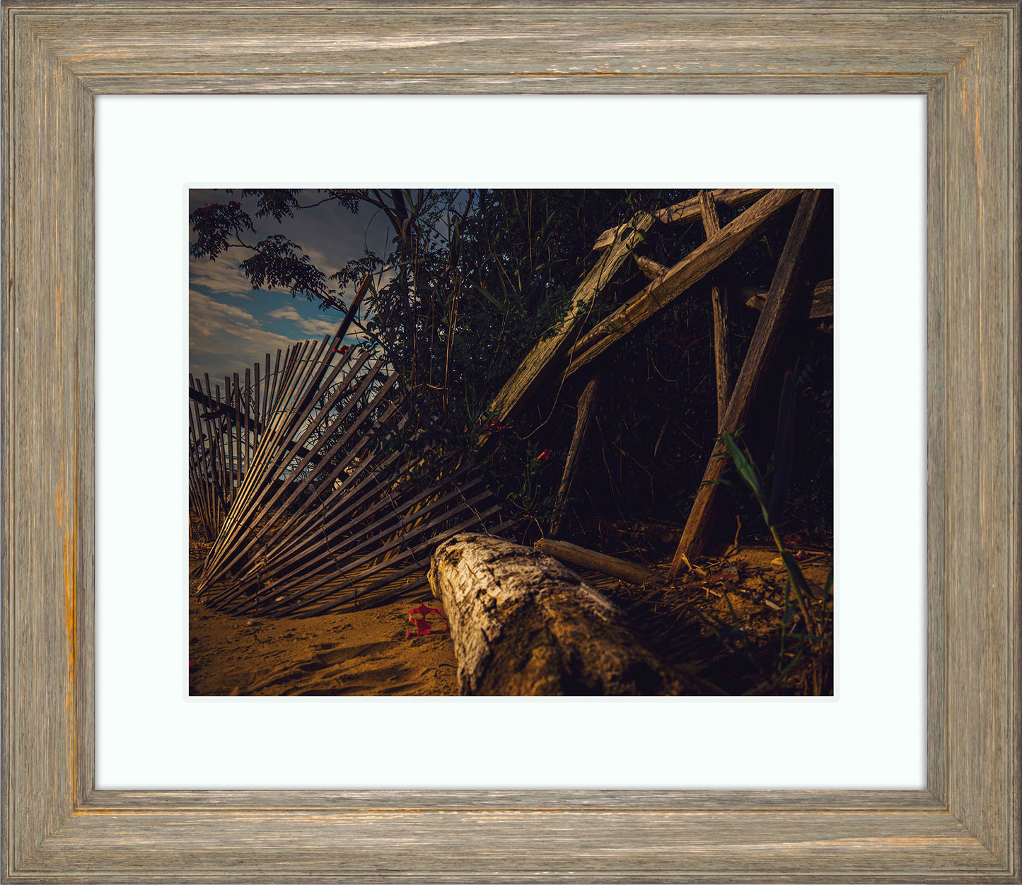 Storm Damage at Matapeake -- Digital Print