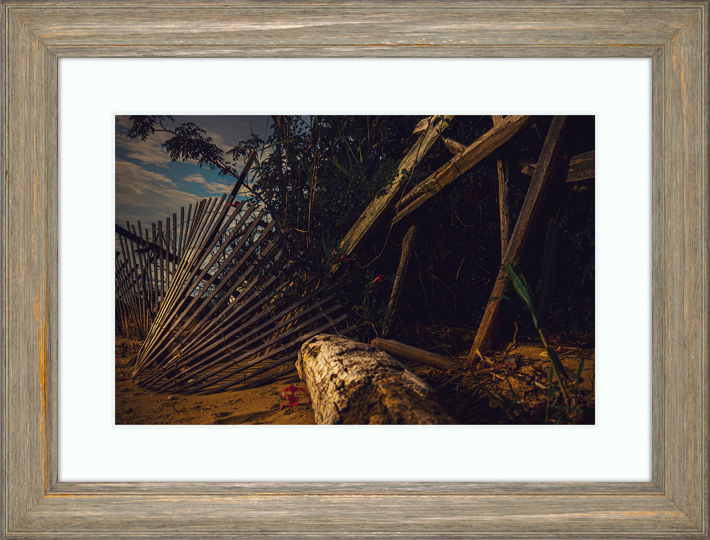 Storm Damage at Matapeake -- Digital Print