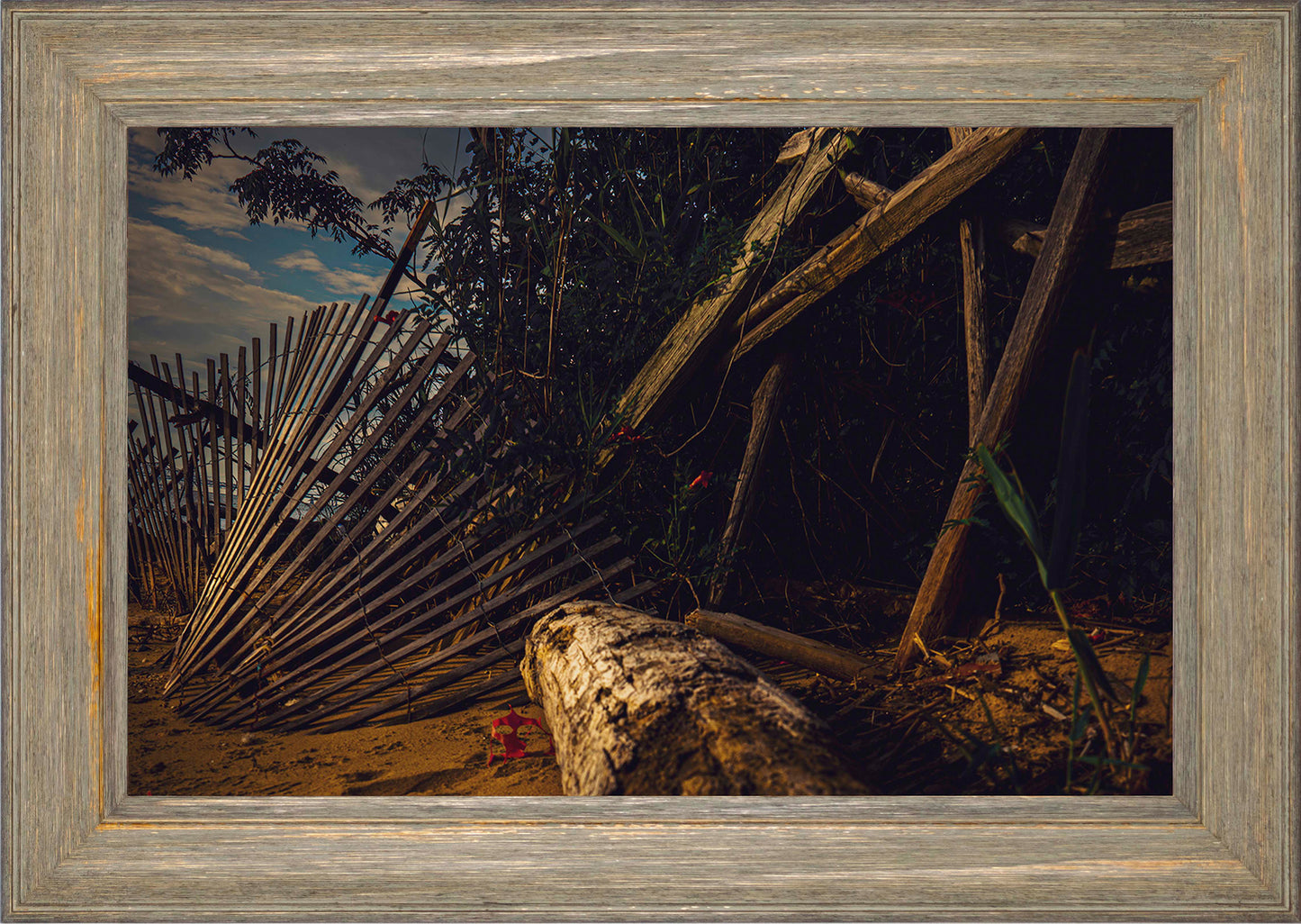 Storm Damage at Matapeake -- Digital Print