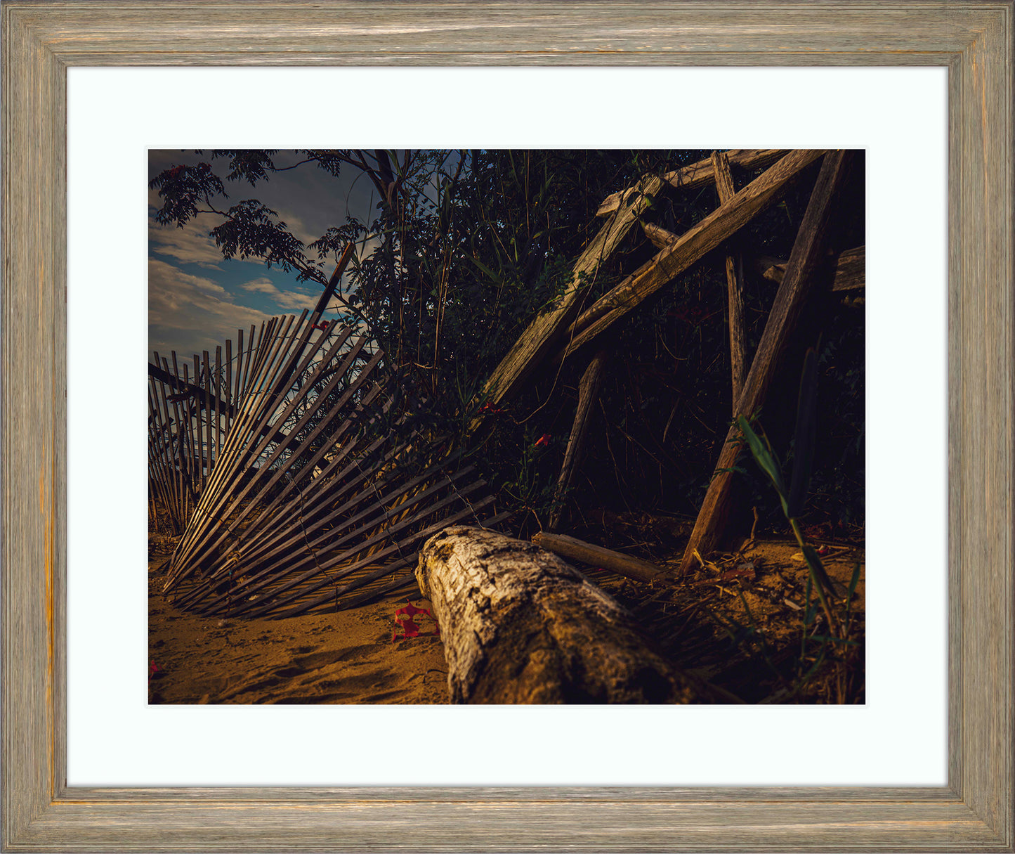 Storm Damage at Matapeake -- Digital Print