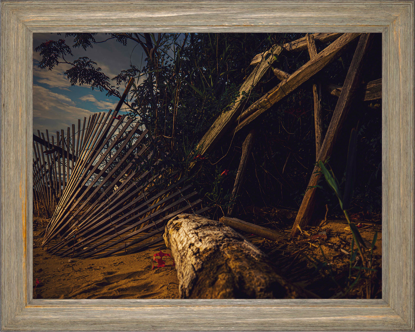 Storm Damage at Matapeake -- Digital Print