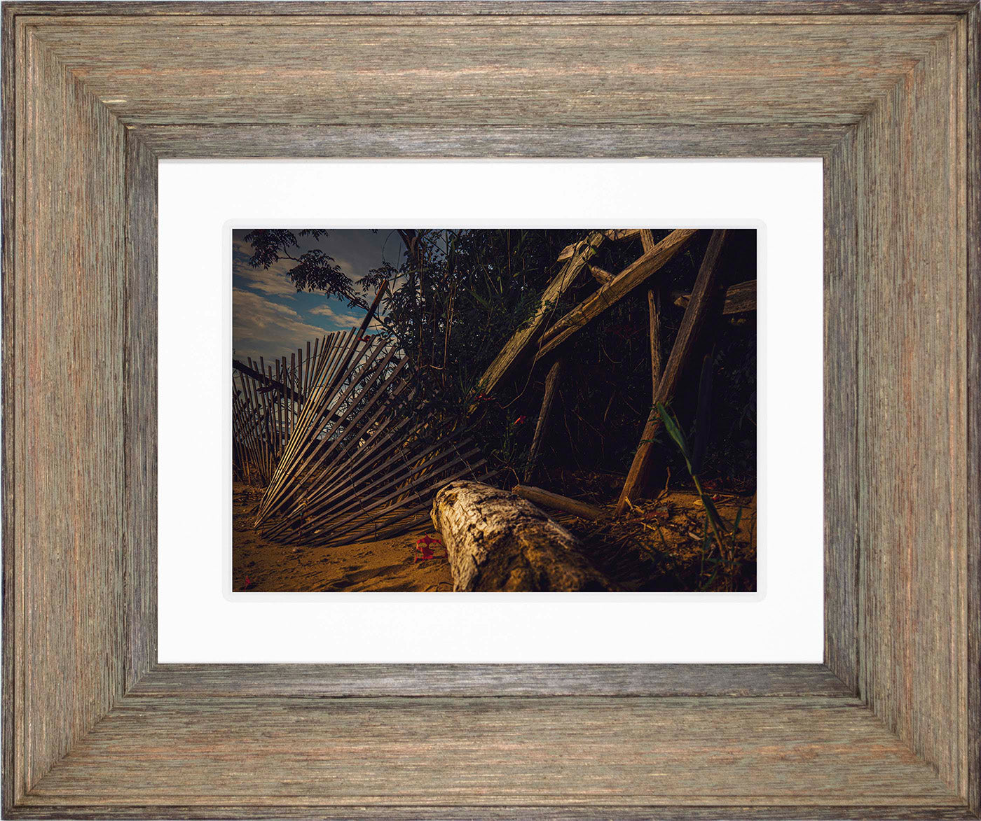 Storm Damage at Matapeake -- Digital Print