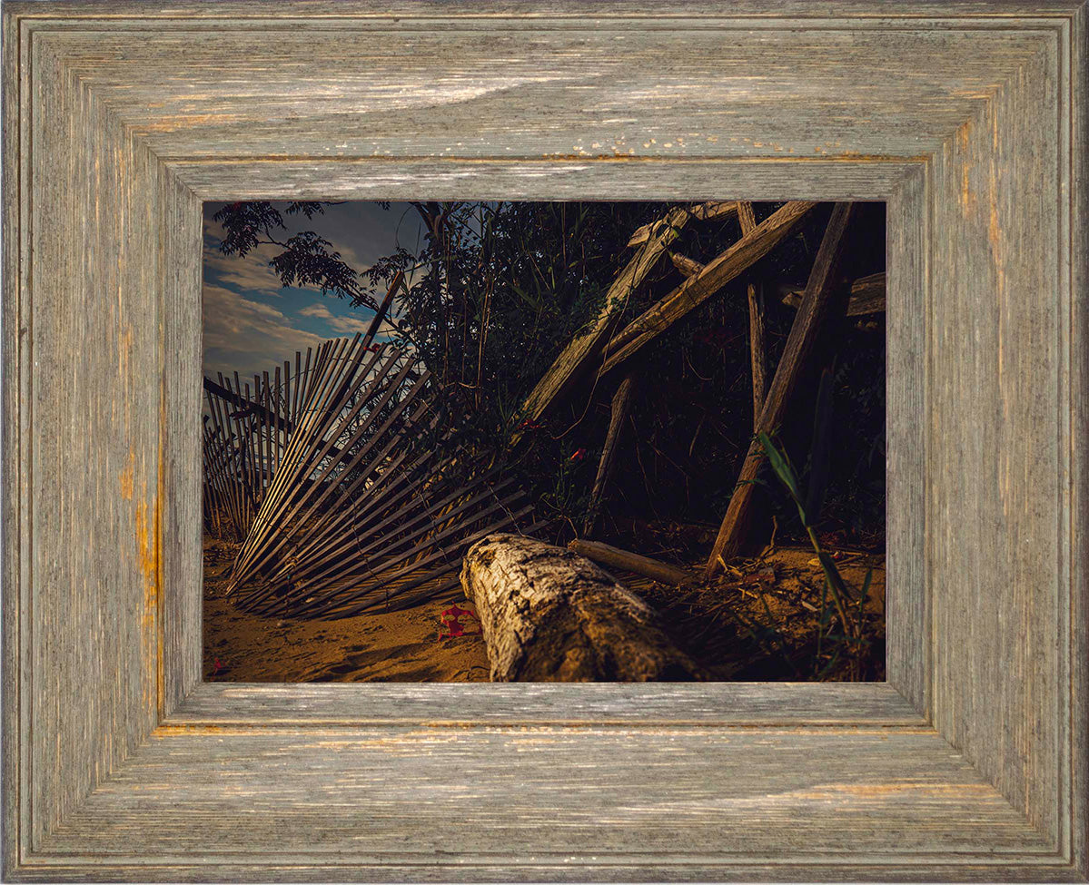 Storm Damage at Matapeake -- Digital Print