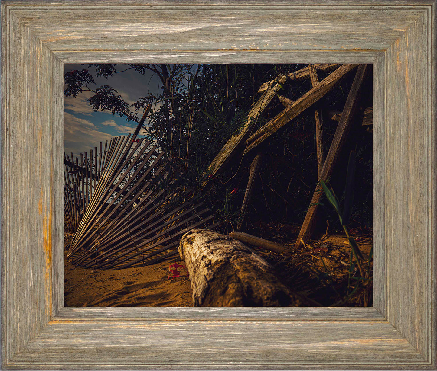 Storm Damage at Matapeake -- Digital Print