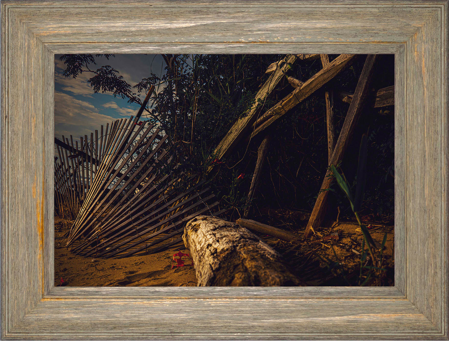 Storm Damage at Matapeake -- Digital Print