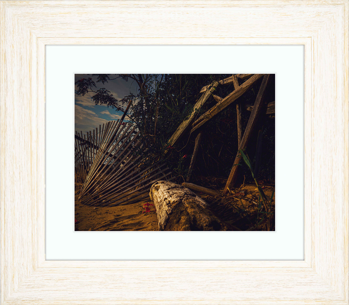 Storm Damage at Matapeake -- Digital Print