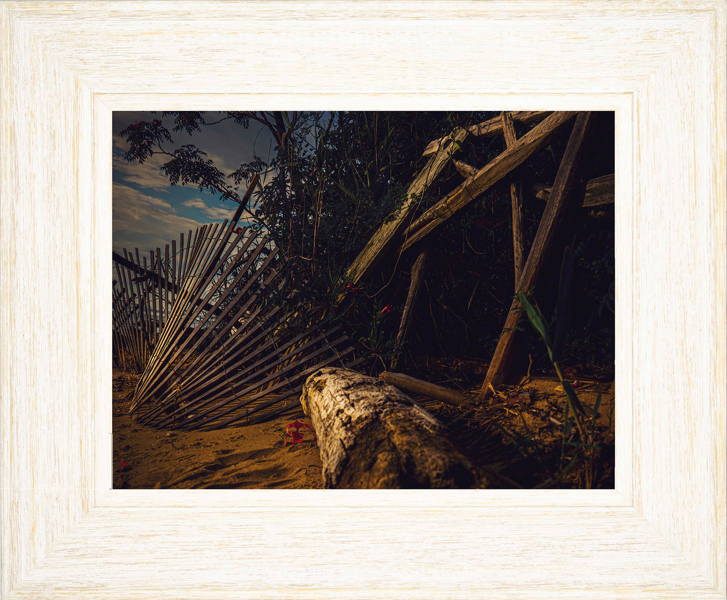 Storm Damage at Matapeake -- Digital Print