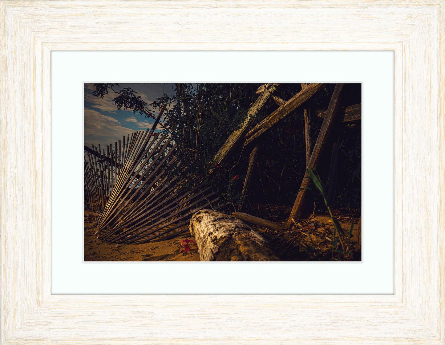 Storm Damage at Matapeake -- Digital Print