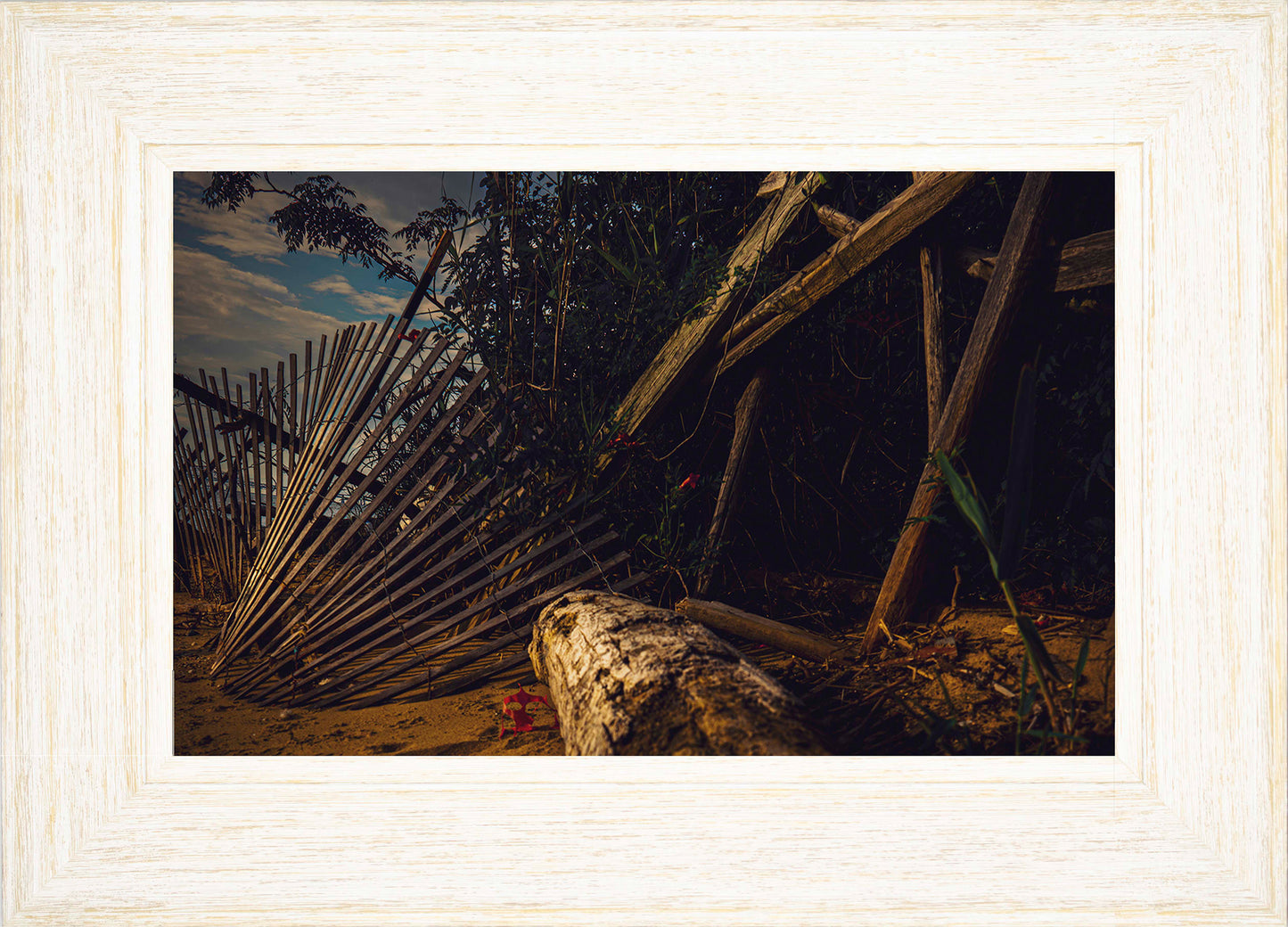 Storm Damage at Matapeake -- Digital Print