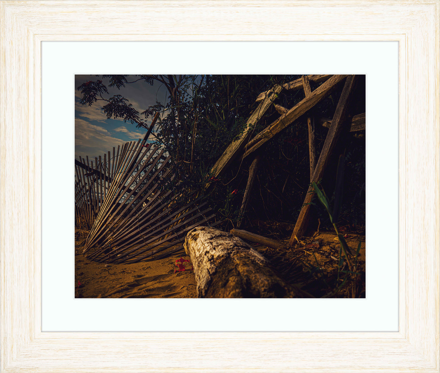 Storm Damage at Matapeake -- Digital Print