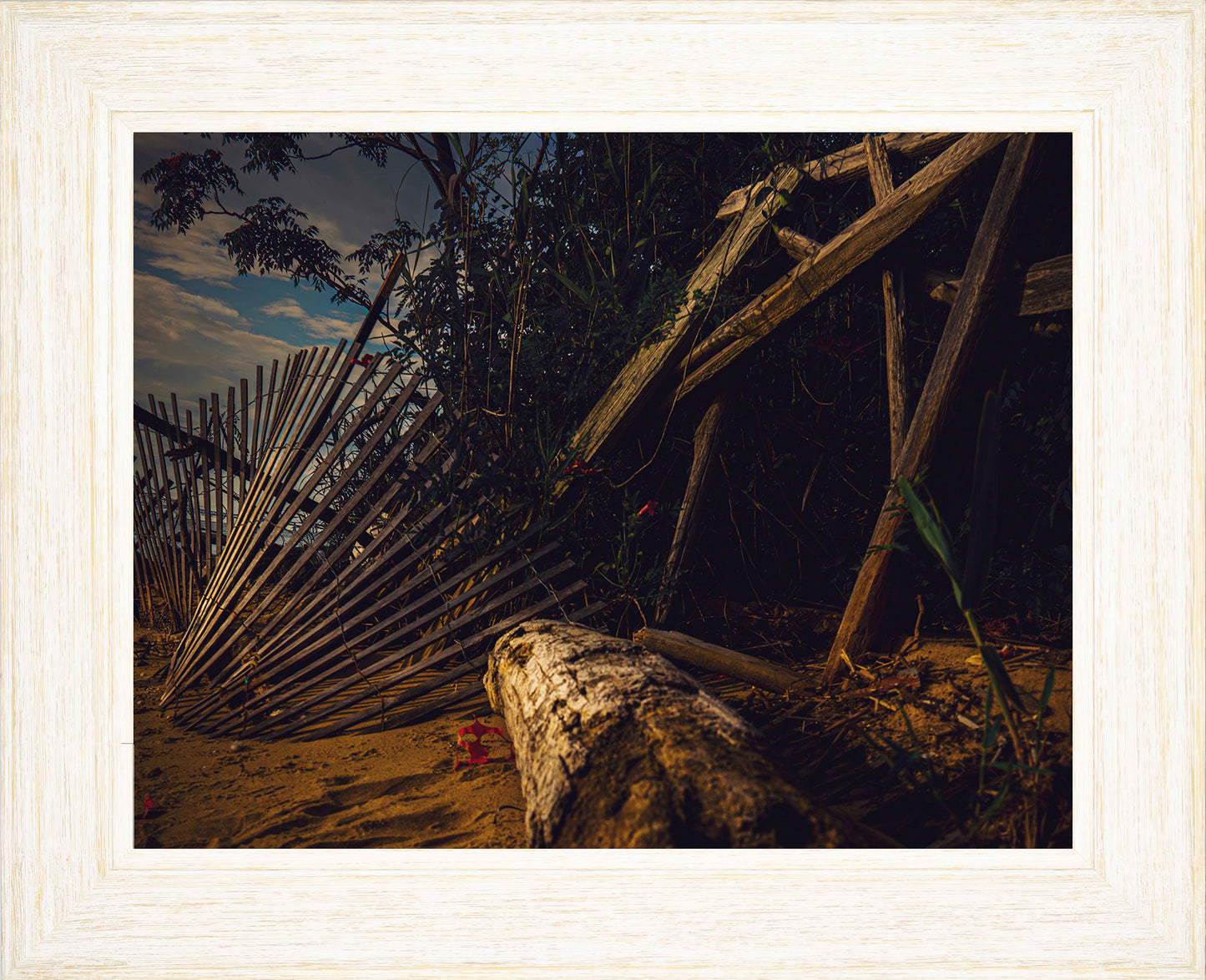 Storm Damage at Matapeake -- Digital Print