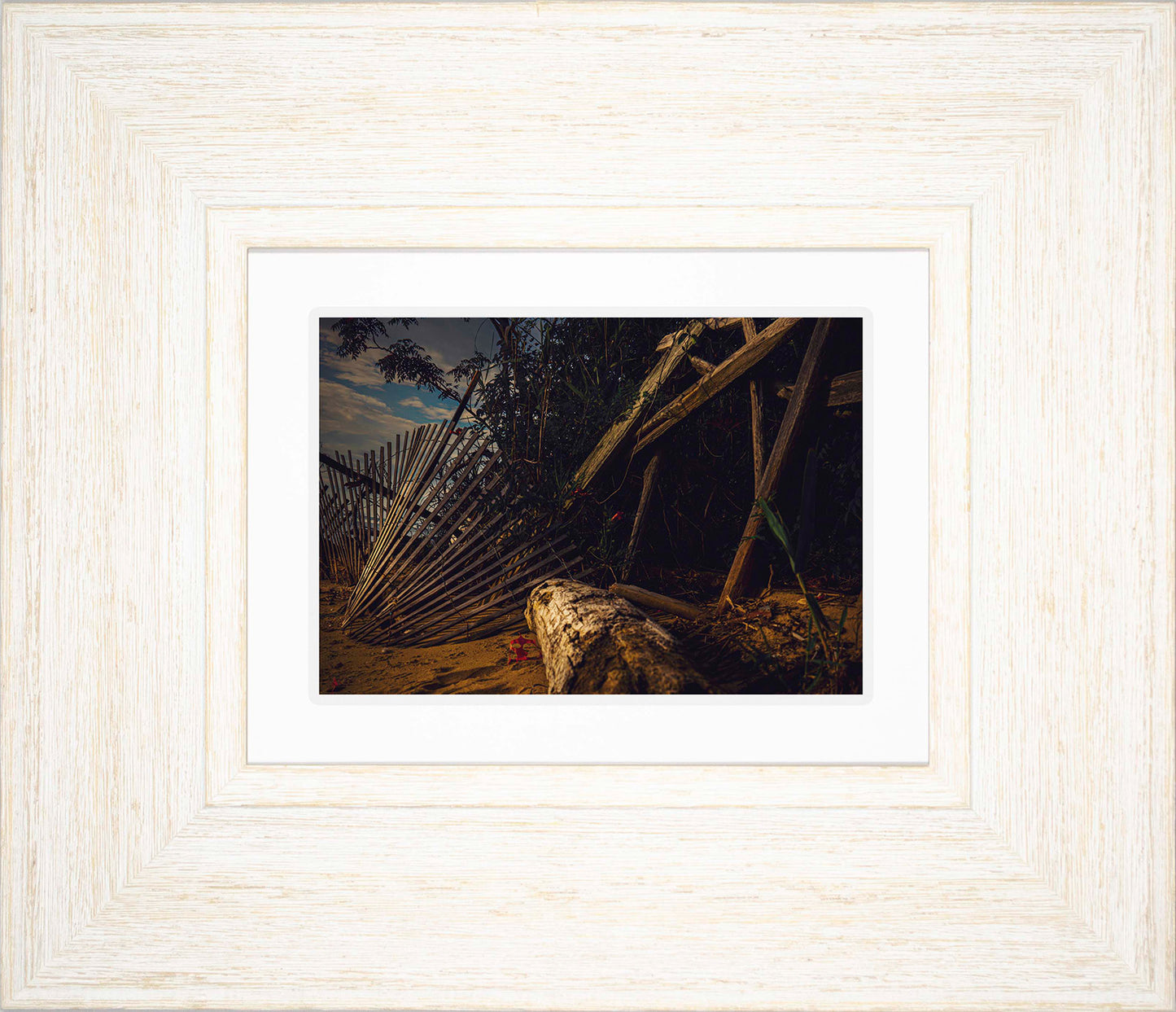 Storm Damage at Matapeake -- Digital Print