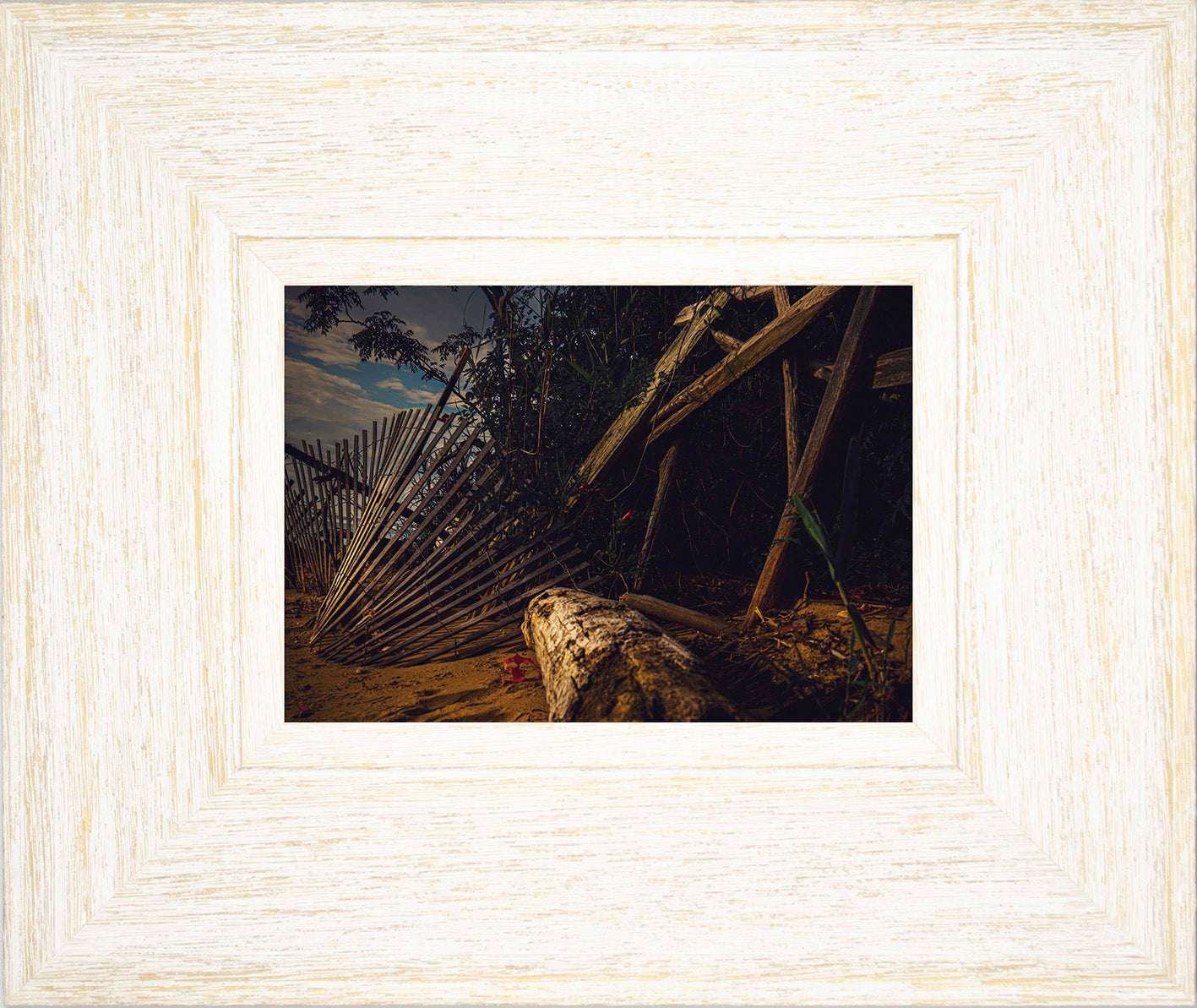 Storm Damage at Matapeake -- Digital Print