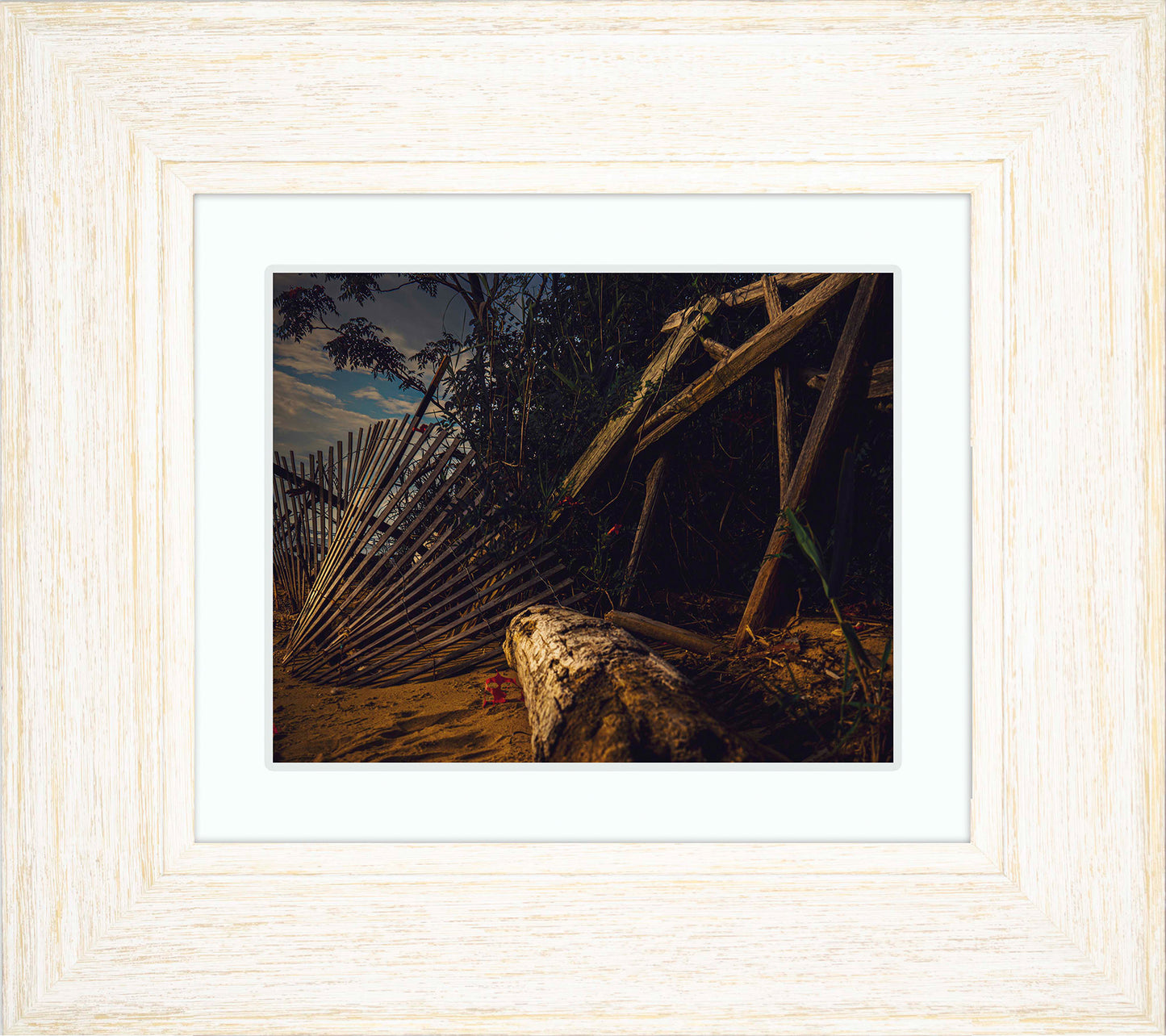Storm Damage at Matapeake -- Digital Print