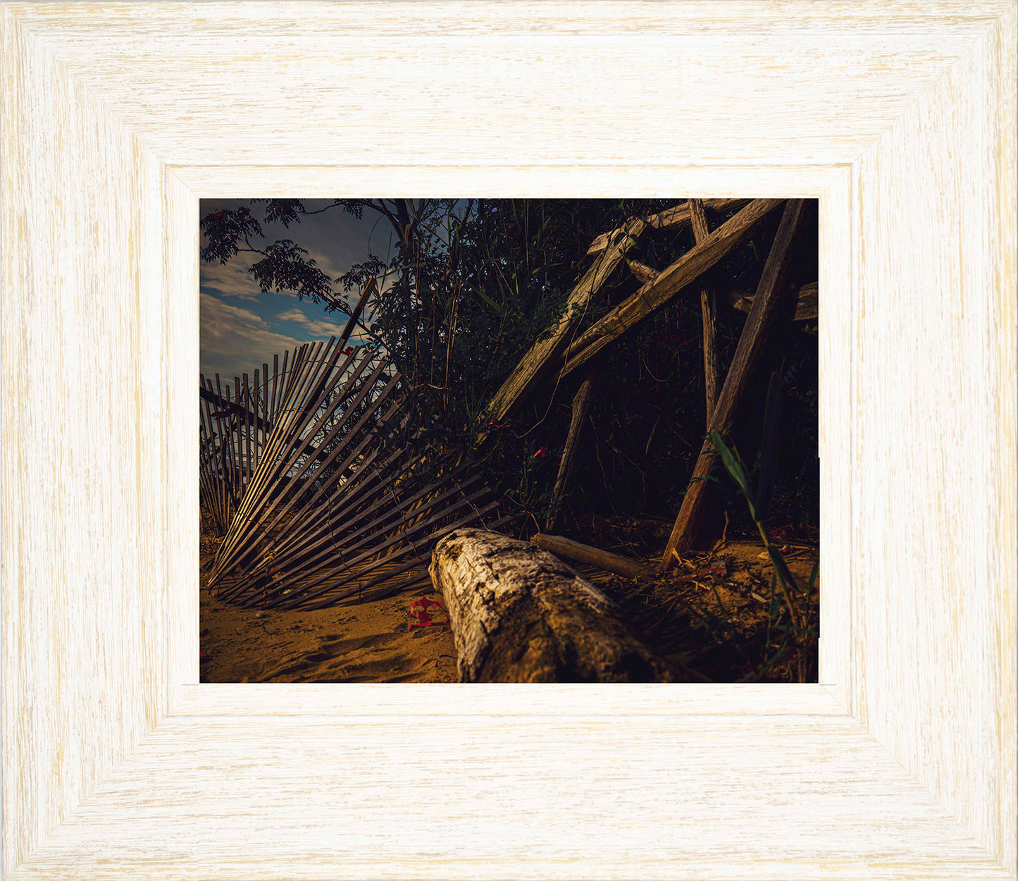 Storm Damage at Matapeake -- Digital Print
