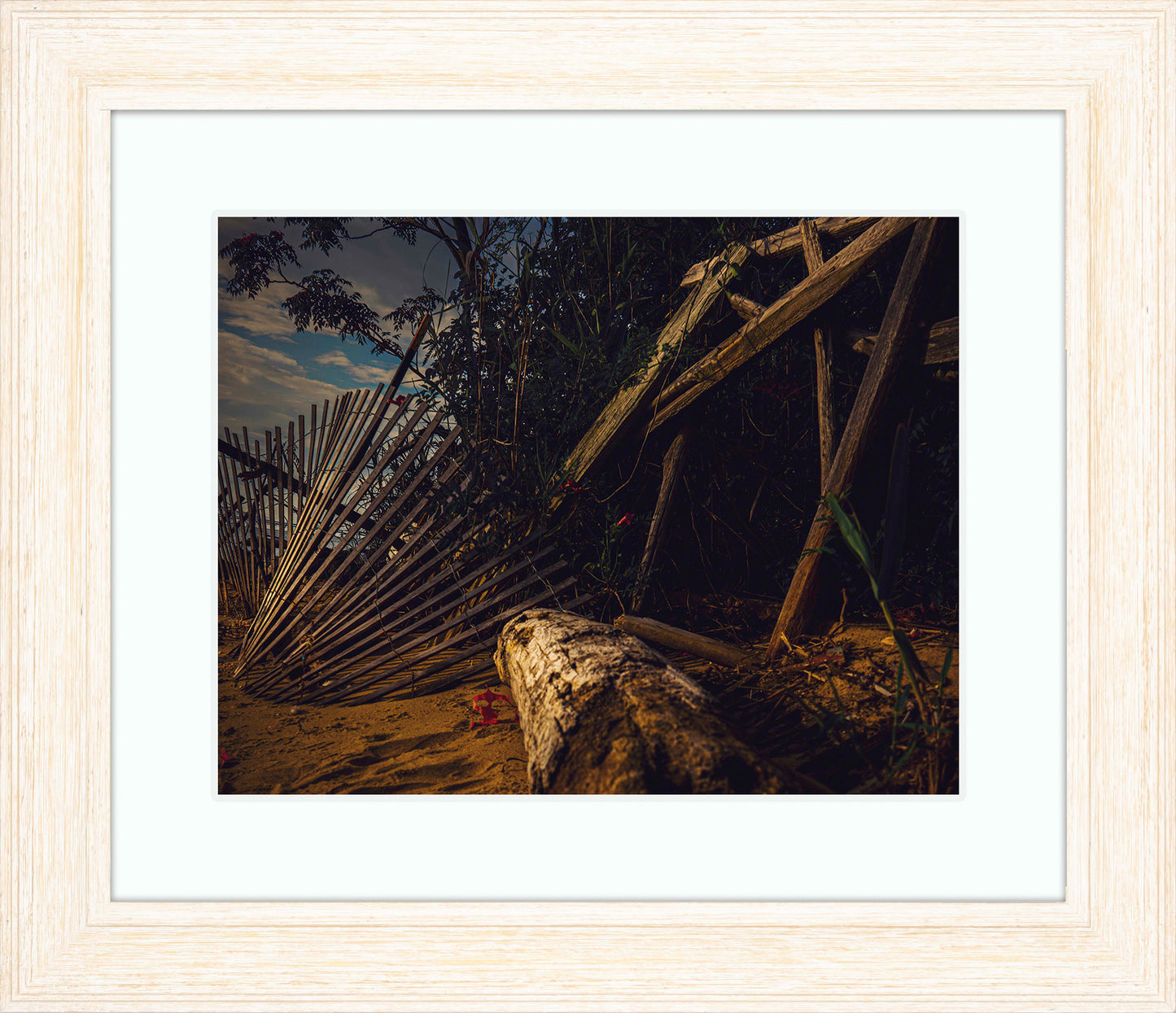 Storm Damage at Matapeake -- Digital Print