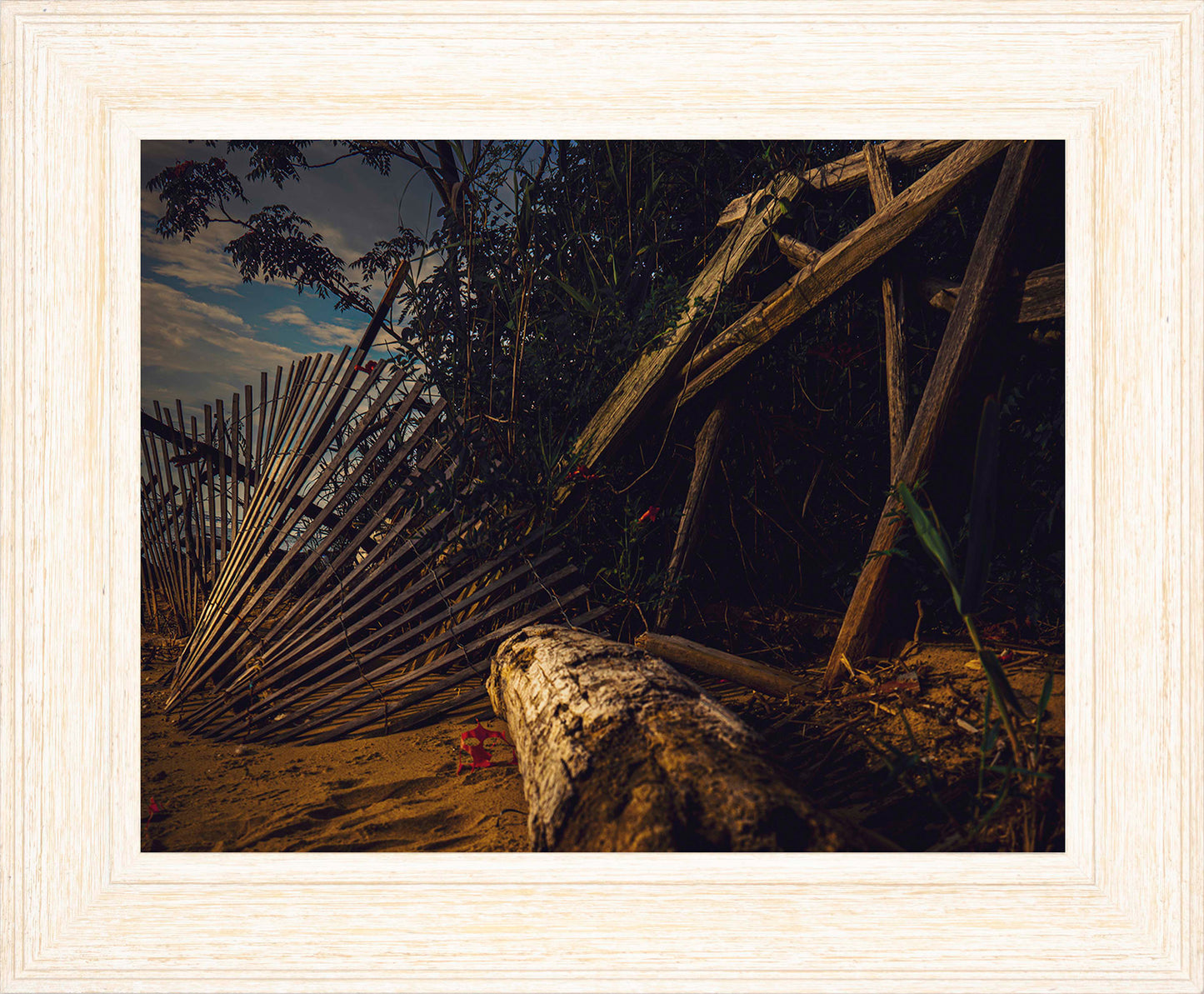 Storm Damage at Matapeake -- Digital Print