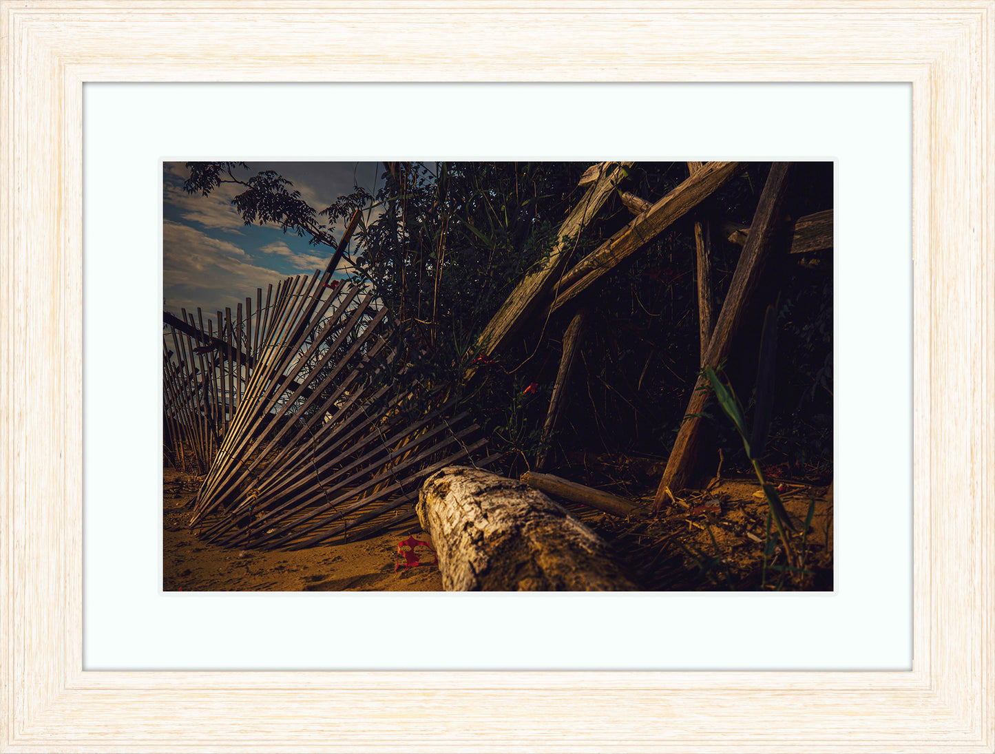 Storm Damage at Matapeake -- Digital Print