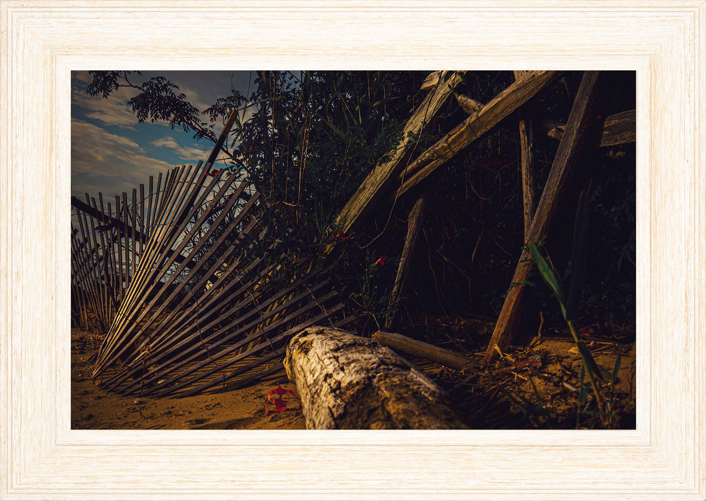 Storm Damage at Matapeake -- Digital Print