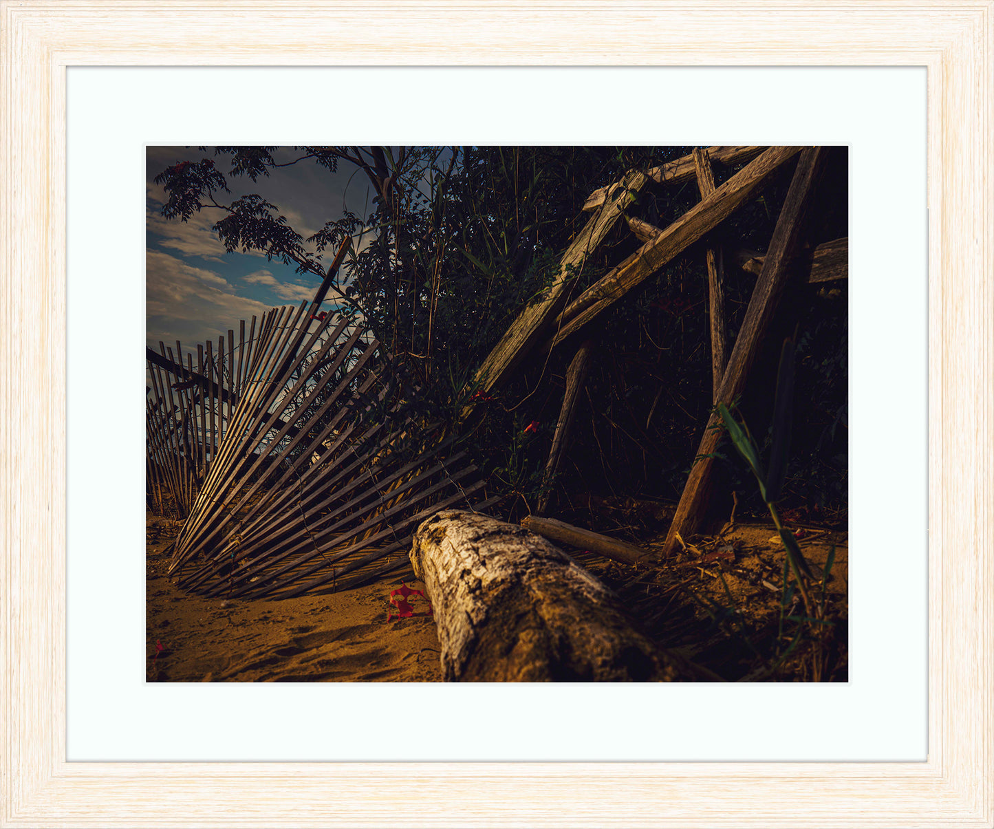 Storm Damage at Matapeake -- Digital Print