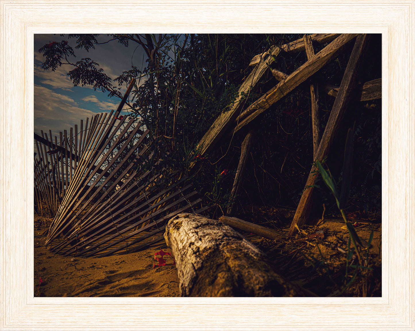 Storm Damage at Matapeake -- Digital Print