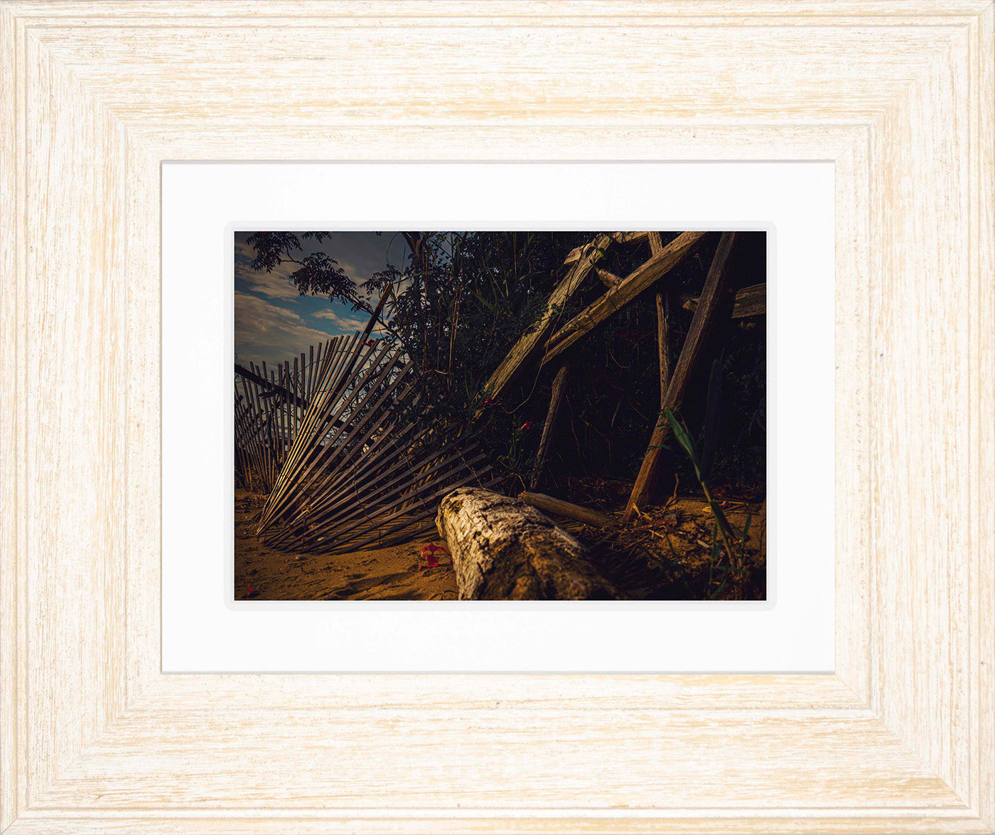 Storm Damage at Matapeake -- Digital Print