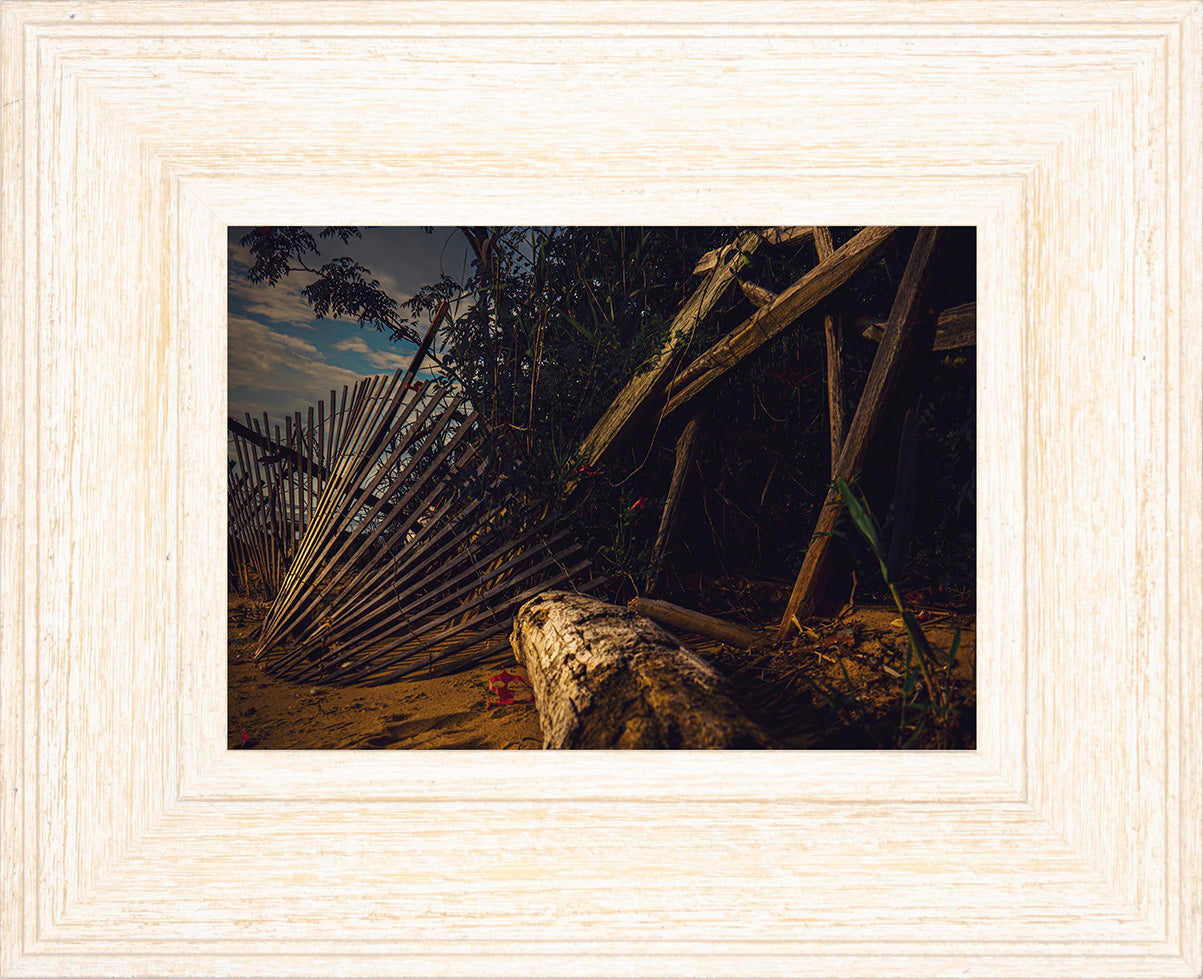 Storm Damage at Matapeake -- Digital Print