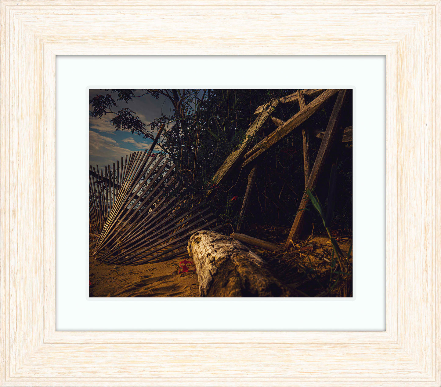 Storm Damage at Matapeake -- Digital Print