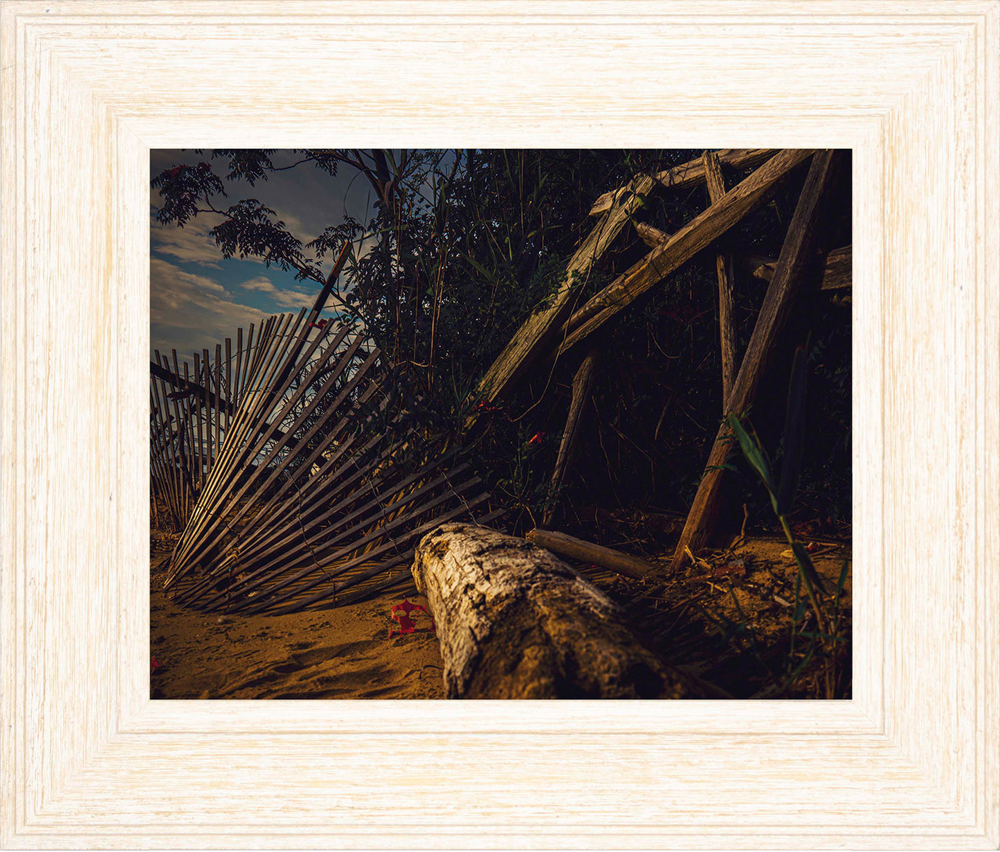 Storm Damage at Matapeake -- Digital Print