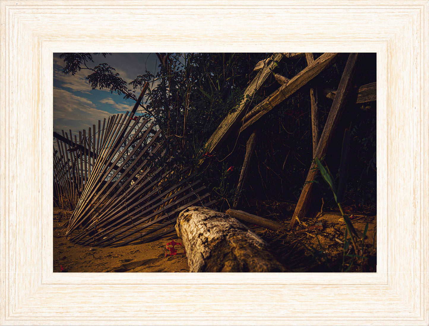 Storm Damage at Matapeake -- Digital Print
