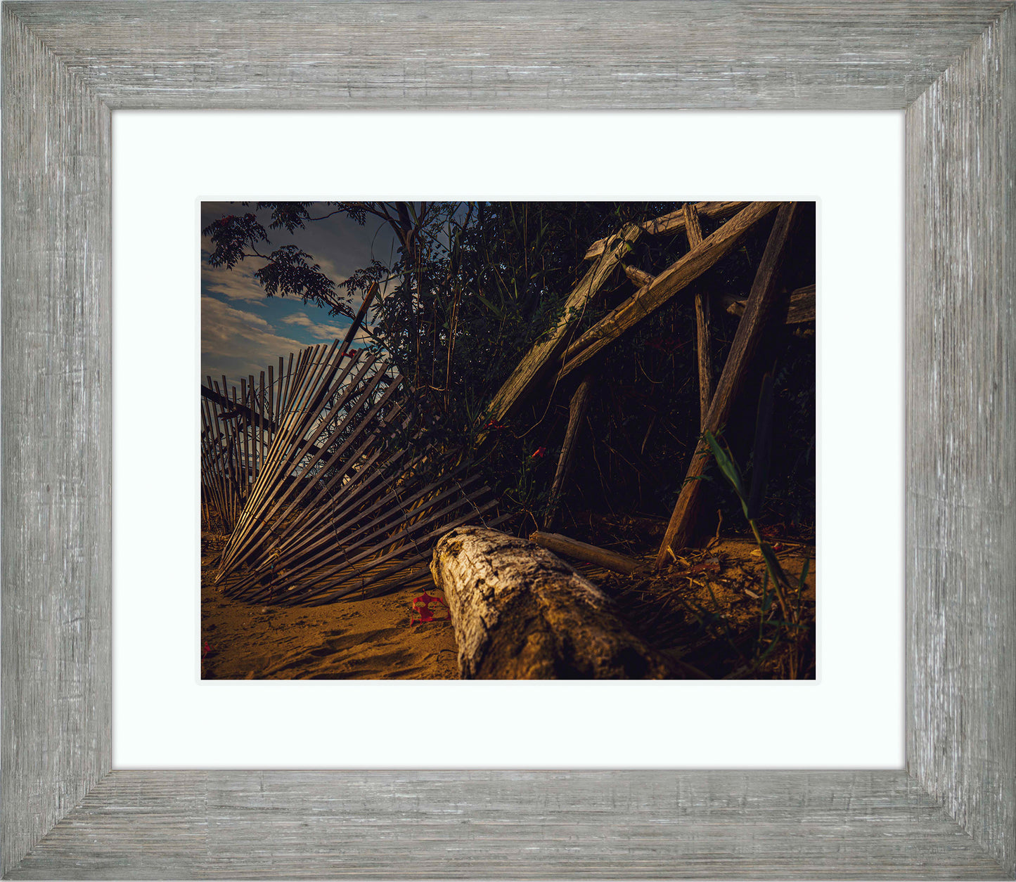 Storm Damage at Matapeake -- Digital Print