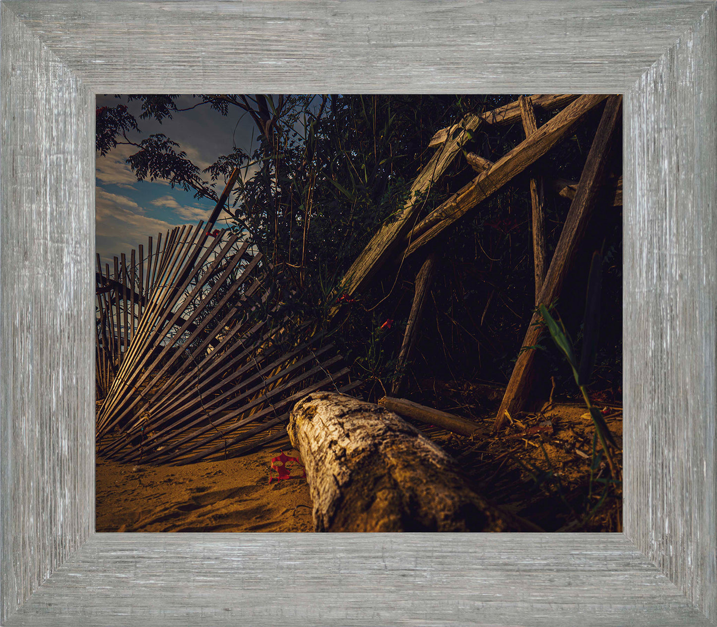 Storm Damage at Matapeake -- Digital Print