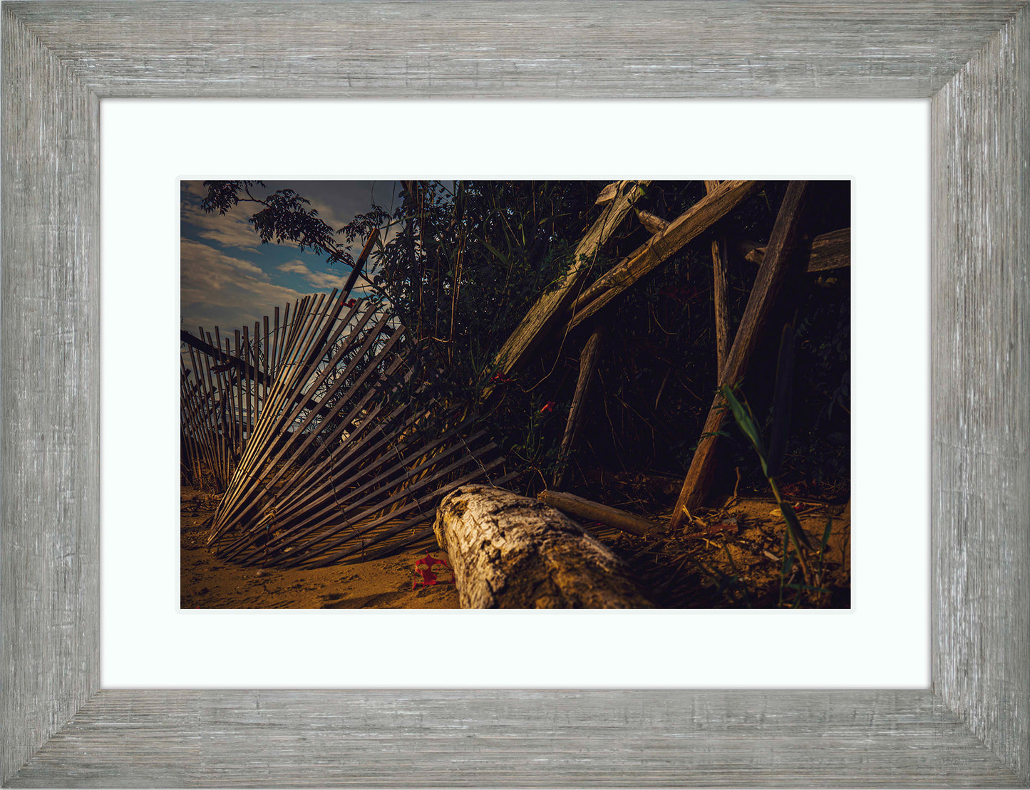 Storm Damage at Matapeake -- Digital Print