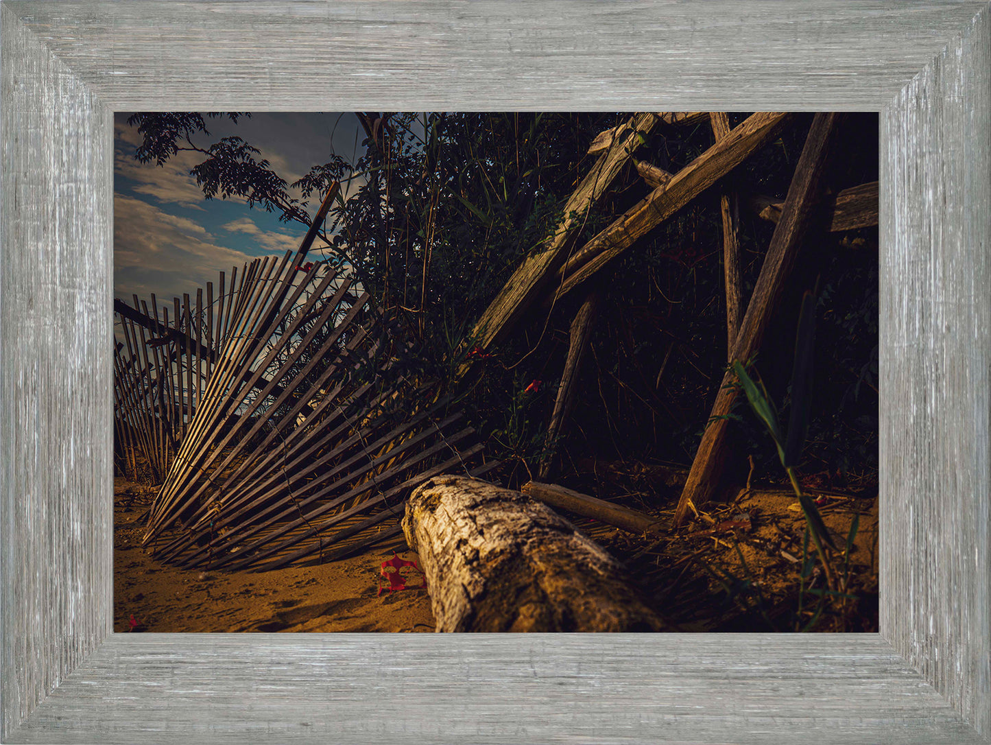 Storm Damage at Matapeake -- Digital Print